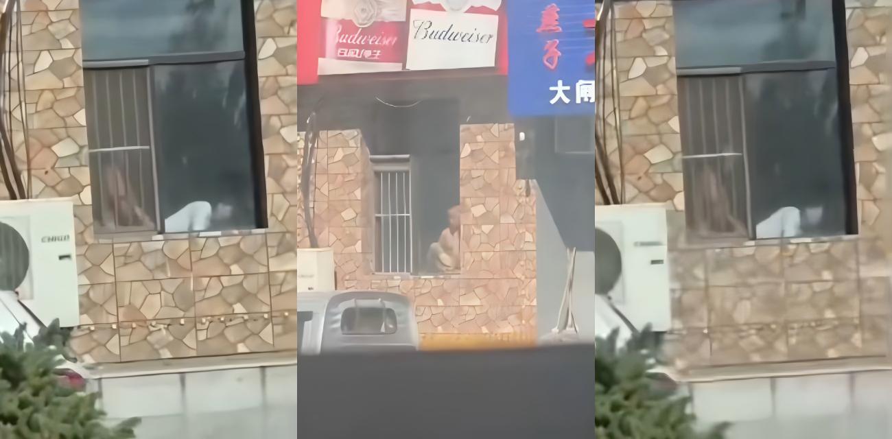 白山万历烧鸽子大瓜，门店装修窗前交欢路人偷拍视频火遍全网，老板借机宣传堪称商业鬼才